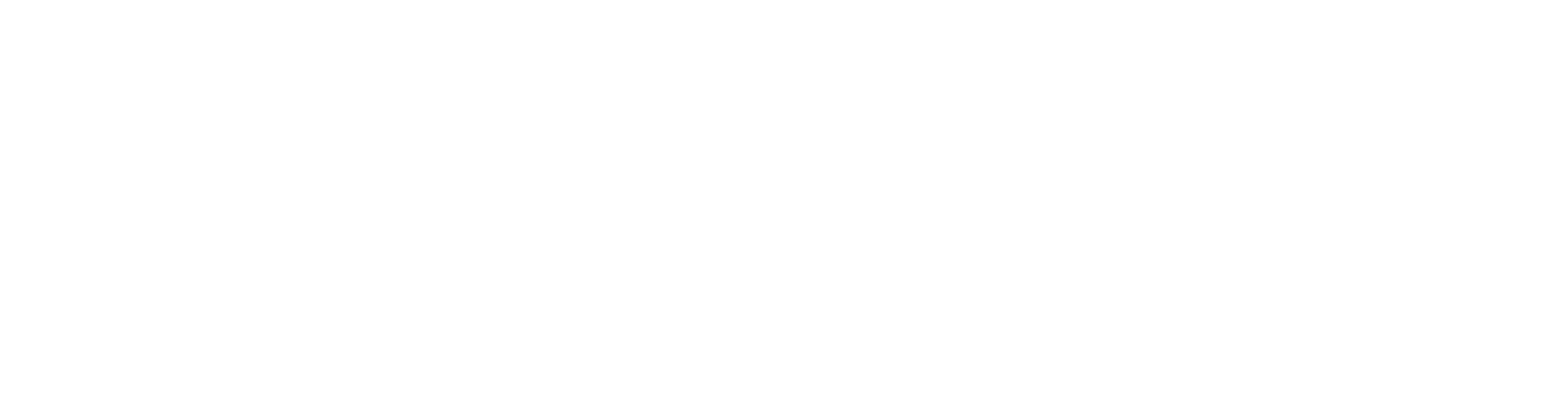 Ledion logo